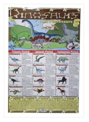 Amazing Dinosaur Educational Poster (Through 3 periods + Facts)