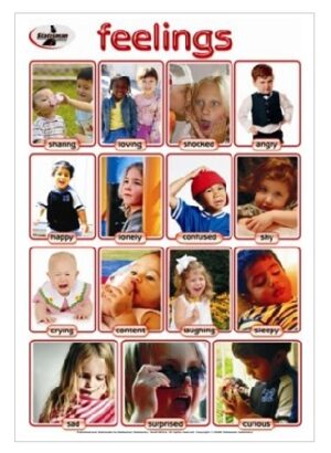 15 Feelings Poster: An Interactive Emotions Write-and-Wipe Poster