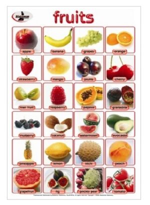 Colourful Fruits Write & Wipe Poster - 24 Fruits