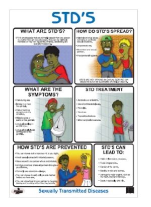 Comprehensive STDs Poster (6 Informative Sections)