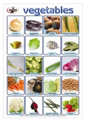 Captivating (20) Vegetables Write & Wipe Poster